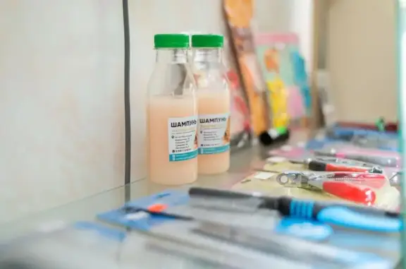 Груминг-салон ZooDiscount в Кировском районе