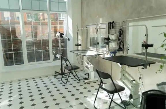 Груминг-студия PetSPA