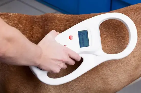 ВетСеть, ветеринарная клиника