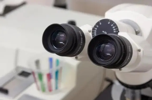 Доктор Айболит, сеть ветеринарных клиник