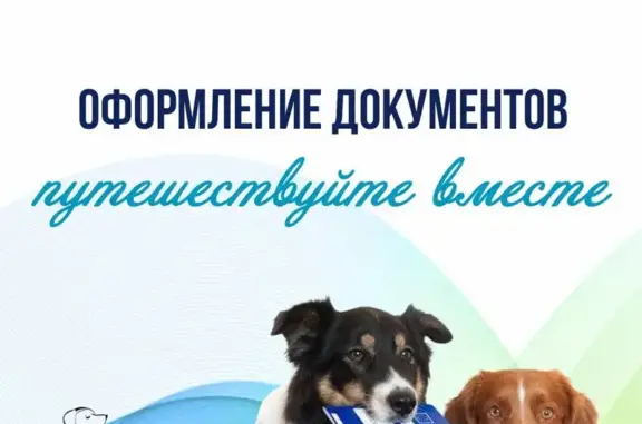 Ветеринарный центр Белый Бим на метро Чернышевская