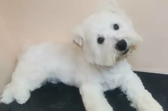 Зоосалон Маркиз