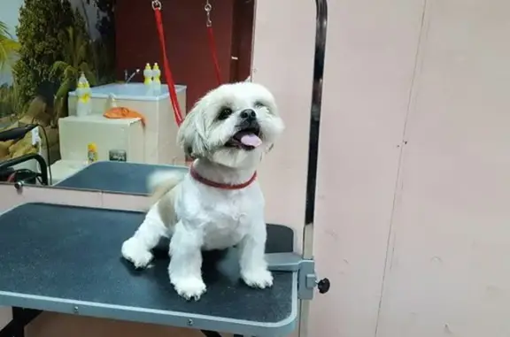 Зоосалон А`мур на Касимовском шоссе