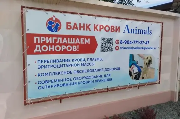 Animals, банк крови для животных