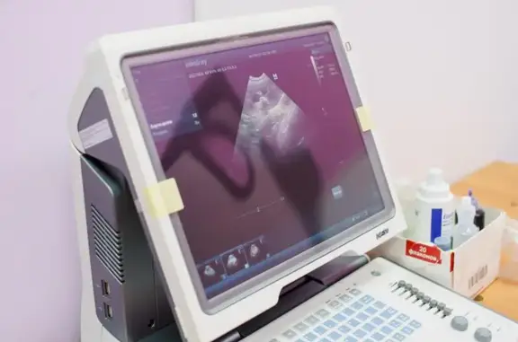 Кот Матроскин, ветеринарная клиника