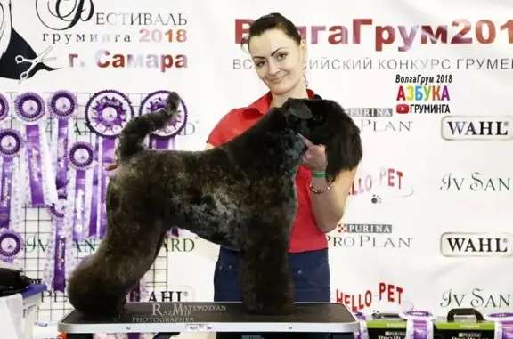 Груминг-студия ВИРСАВИЯ на Средне-Садовой улице