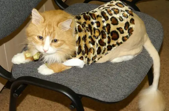 Векта, ветеринарный центр