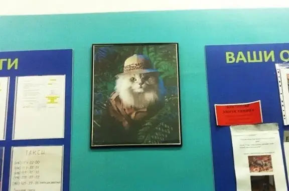 Бастис, ветеринарный центр