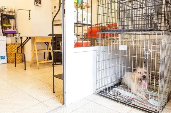 Салон красоты для животных Ричи на проспекте Вернадского