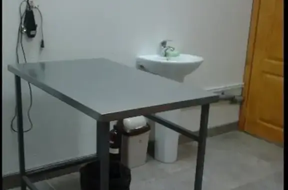 Верный друг, ветеринарная клиника