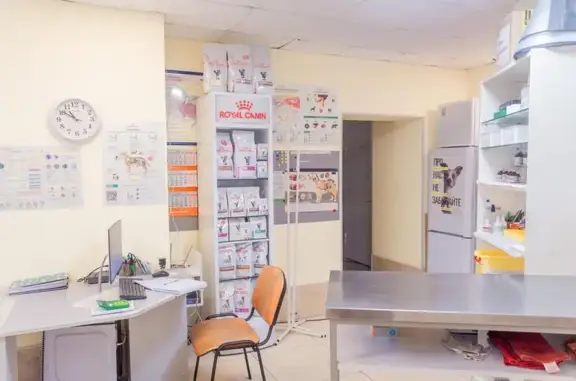 Чемпион, ветеринарные клиники