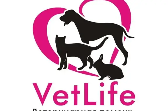Ветеринарная клиника VetLife в Орджоникидзевском районе