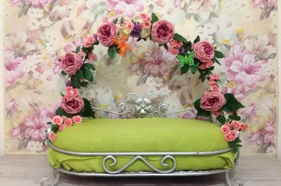 Зоосалон Фаворит Императрицы