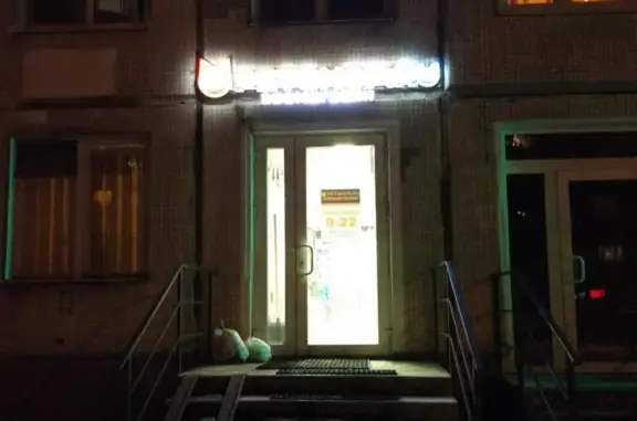 Зоомагазин Petshop на метро Академическая