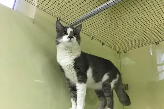 Зоогостиница PRIDE в Прикубанском округе