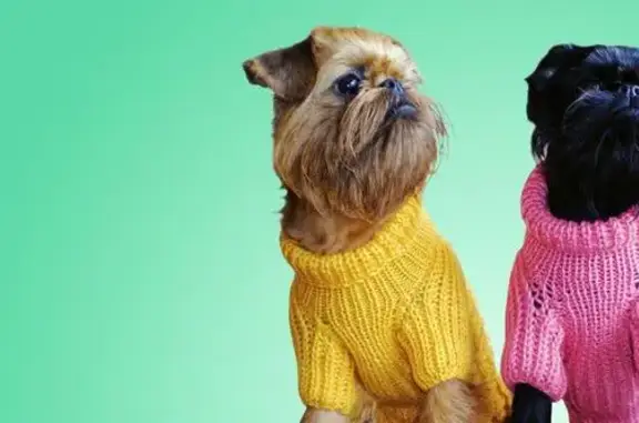 Ветеринарная клиника доктора Малыхиной на улице Карпинского