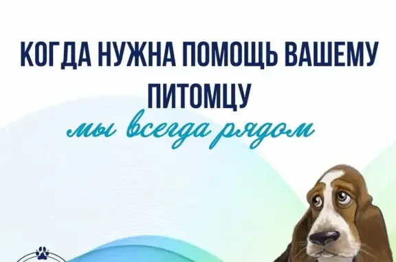 Ветеринарная клиника Крошка Енот на метро Электросила