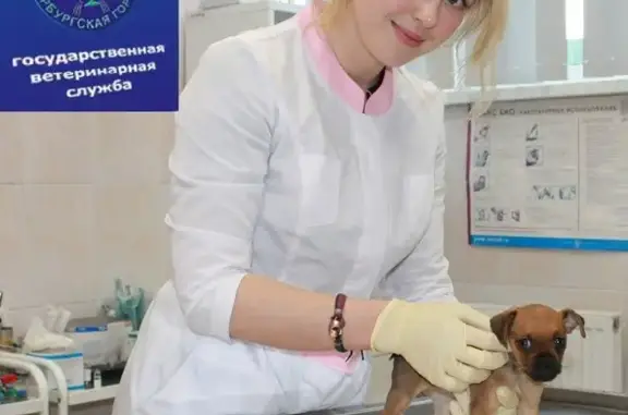 Санкт-Петербургская городская станция по борьбе с болезнями животных, Кронштадтский район