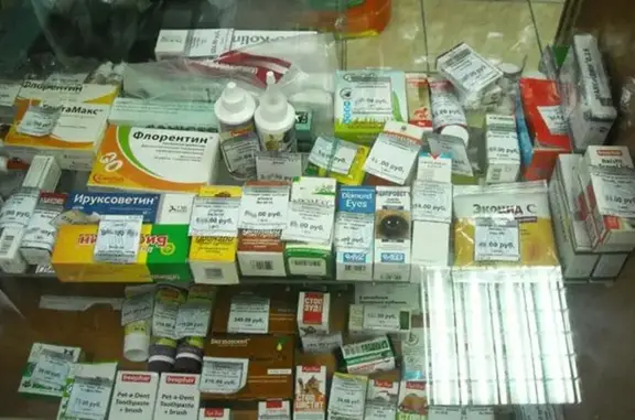 Ветостров, ветеринарная клиника