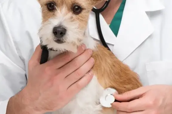 Ветеринарная клиника Здоровый мир в Зеленограде