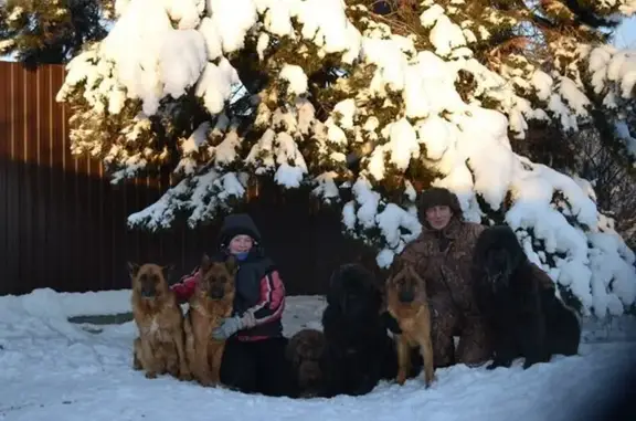 Центр комплексного ухода за животными Зоодом72 в Калининском административном округе