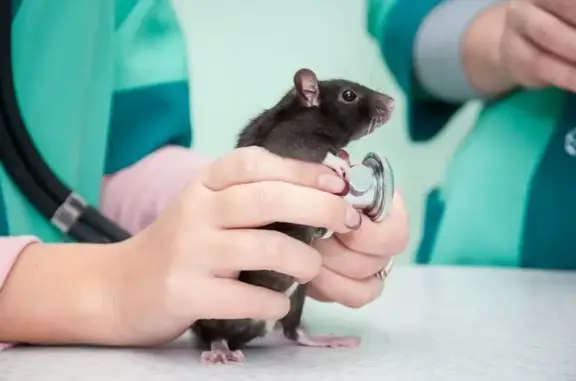 Ветмаг, ветеринарная клиника