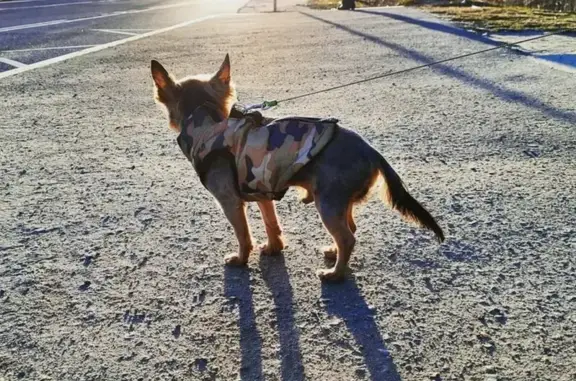 Ветеринарная клиника Dr.Hug на Хорошёвском шоссе