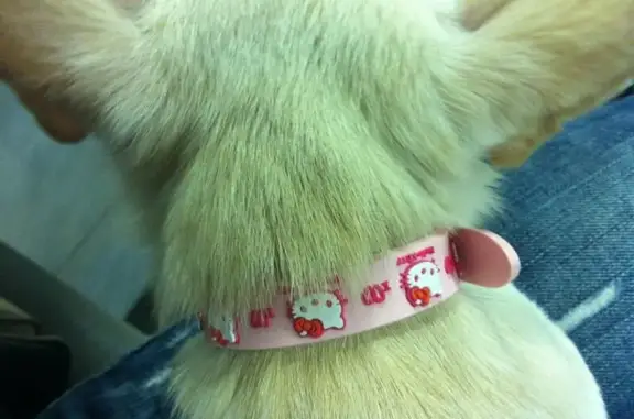 Бабушкинская участковая ветеринарная лечебница, ветеринарная клиника