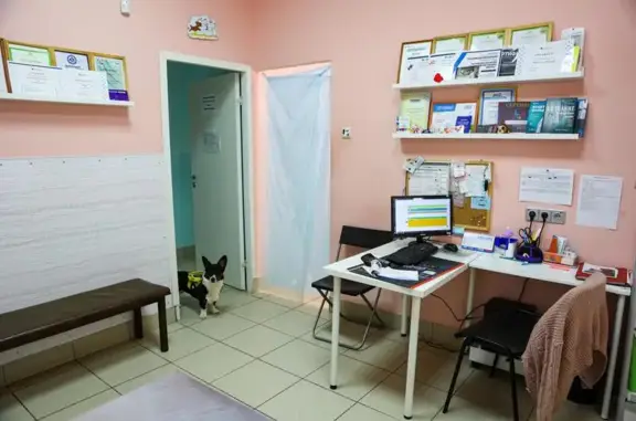 Кот Матроскин, ветеринарная клиника