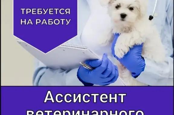 Ваш ветеринар, ветеринарный центр