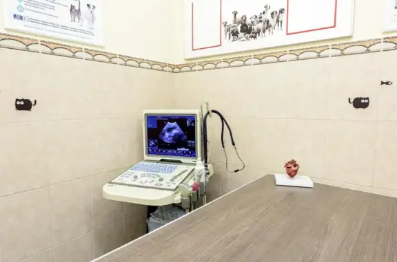 ЛайфВет, ветеринарная клиника