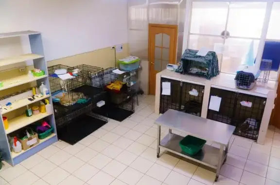 Ветеринарная клиника Ай-болит на Ключевской улице