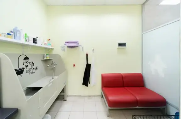 Салон груминга Тефи на улице Багратиона