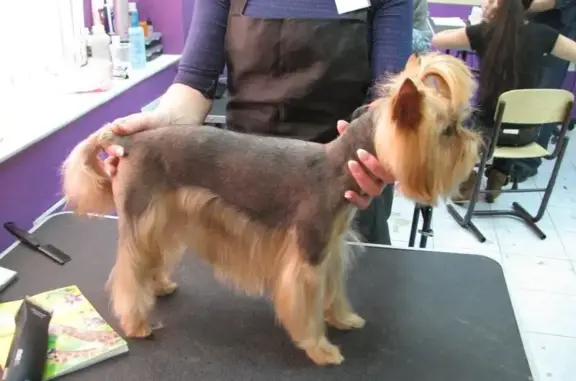 Золотое Руно, ветеринарный центр