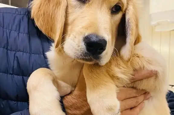 Здоровье животных, многопрофильный ветеринарный центр