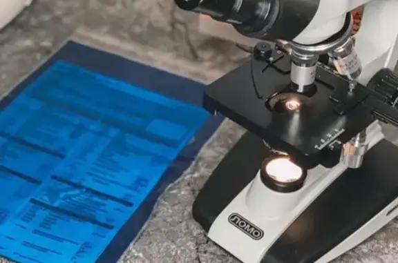 Подлесный, ветеринарная клиника