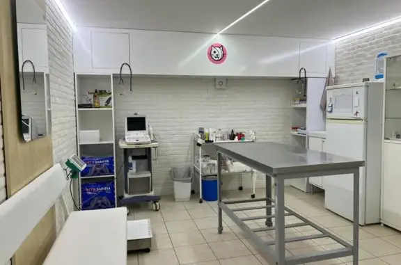 Котовет, ветеринарная клиника