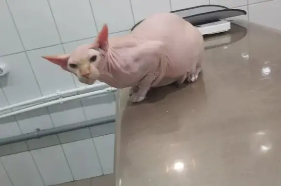 Зоополис, ветеринарная клиника