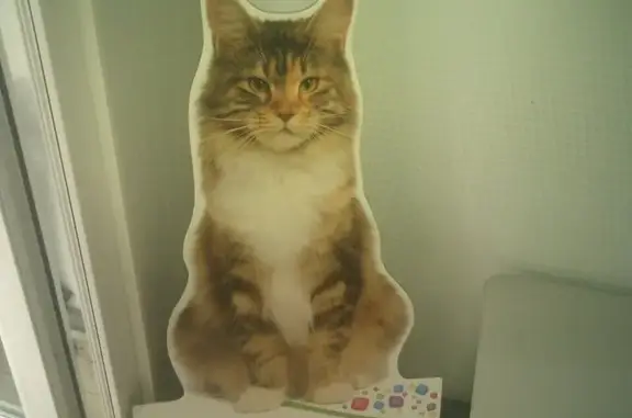 Ветеринарные клиники в Абакане