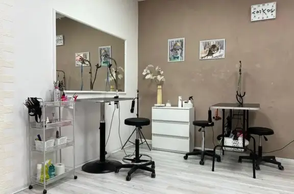 Студия красоты для животных CatDog