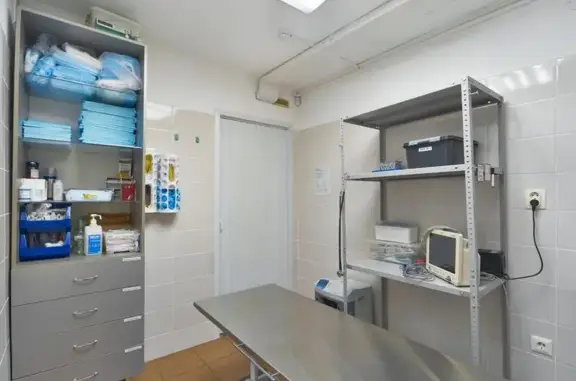 Ветеринарная лечебница Хатико