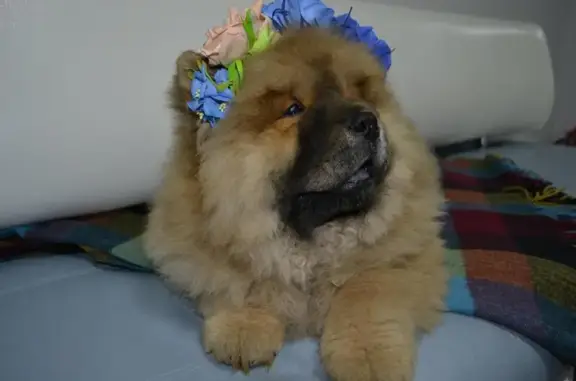 Клиника доктора Васина Н.Н. на улице Рихарда Зорге, 48