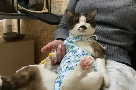 Живая планета, ветеринарная клиника