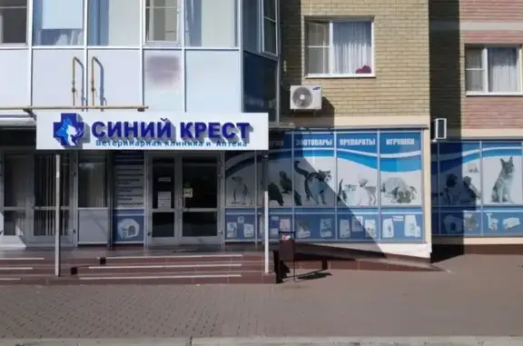 Синий крест, ветеринарная клиника