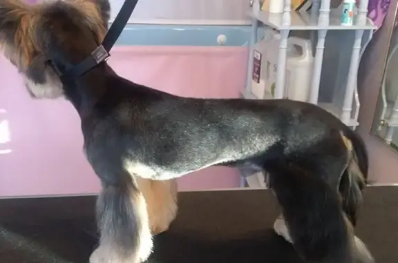 Зоостудия на Грабцевском шоссе