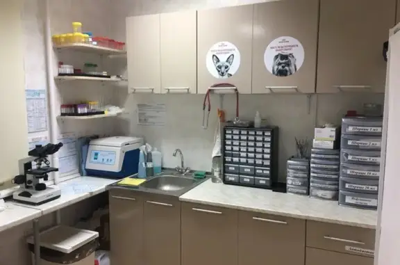 Айвет, ветеринарная клиника