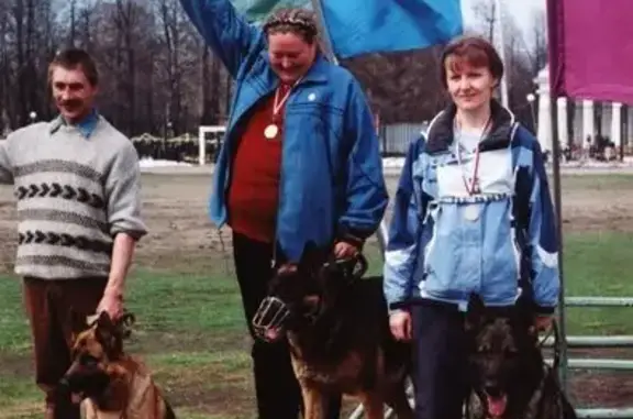 Питомник От Серых Псов