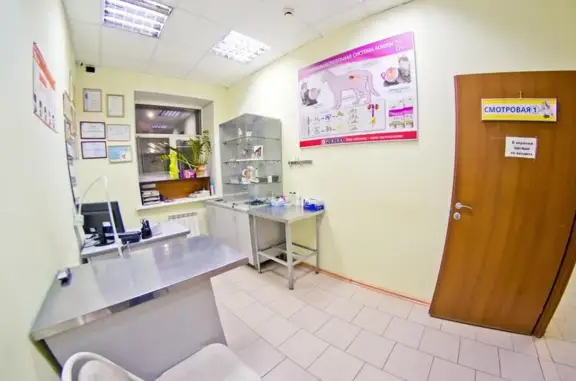 Доктор АЙ и ОЙ, ветеринарная клиника