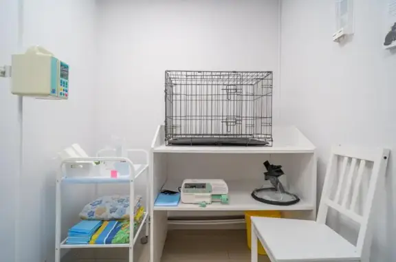 Pet-lazaret, ветеринарная клиника