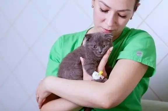 Ветеринарная клиника Живая планета на улице Свердлова